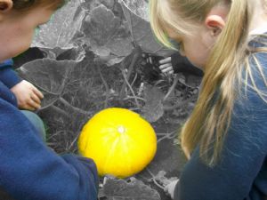 image - homepage photo (c2)