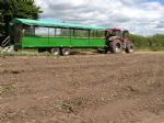 Willow Class visit Abbey Farm (June 14)