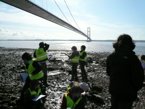 image - Humber Bridge