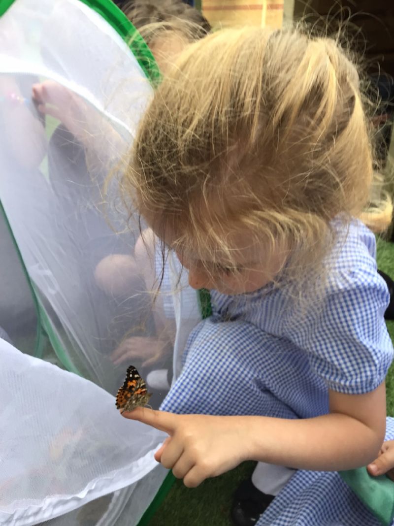 child with butterfly on finger